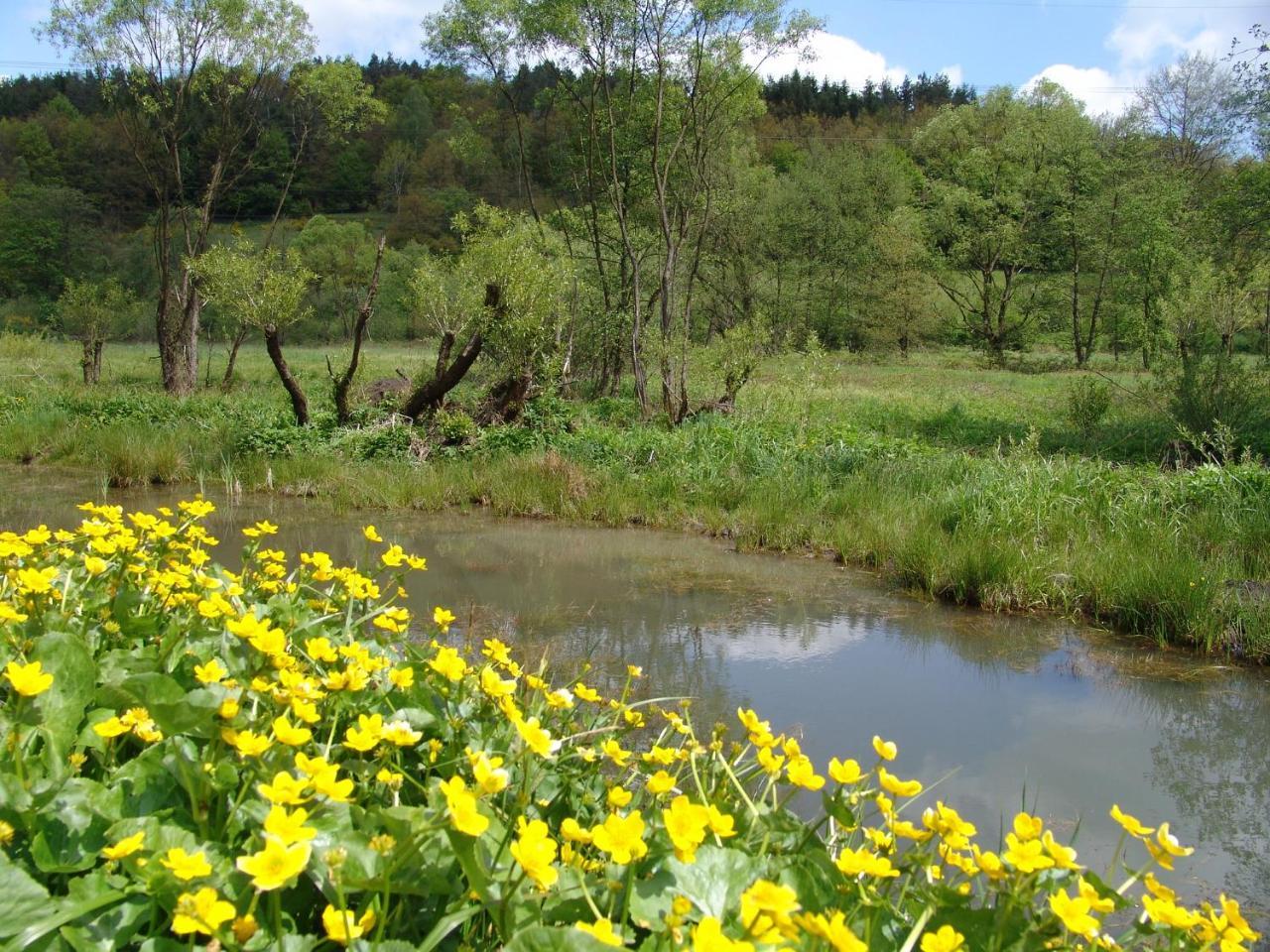 โรงแรมแฟลร์ ฮอชชเปสซาร์ท Heigenbruecken ภายนอก รูปภาพ